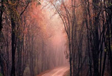 MK体育:U19男足位列熊猫杯第三 主帅称并未亮出全部底牌.