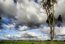 板鞋竞速看配合:“六条腿”也能健步如飞.